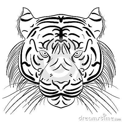 Vector stylized face of ink sketch tiger Vector Illustration