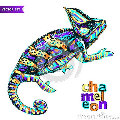 Vector stylized multi coloured Chameleon. Hand Drawn Reptile vector illustration in doodle style for tattoo or print Vector Illustration