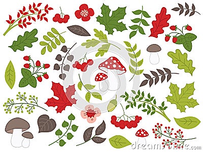 Vector Summer Forest Set with Strawberries, Mushrooms, Leaves and Flowers Vector Illustration