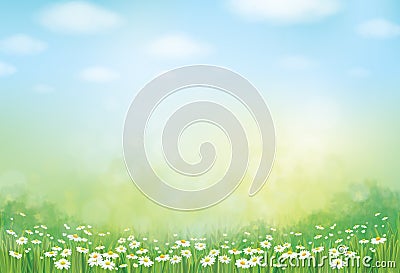 Vector summer, green, nature background. Vector Illustration