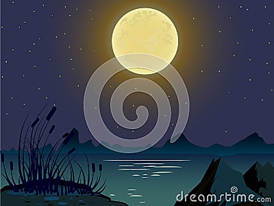 Vector summer landscape. Night landscape. Vector Illustration