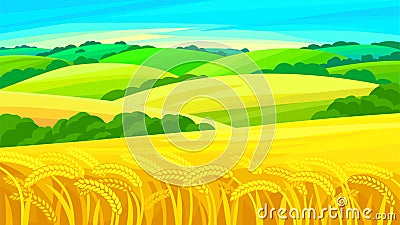 Vector summer rural landscape. Wheat field, yellow and green hills, blue sky. Vector Illustration