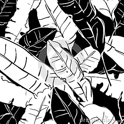 Vector summer seamless pattern with monochrome banana palm leaves. Tropical leaves, floral black and white background. Vector Illustration
