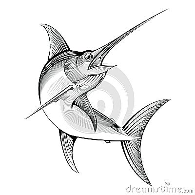 Vector swordfish. engraving illustration Vector Illustration