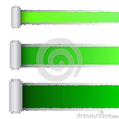 Vector tear paper in green color Vector Illustration