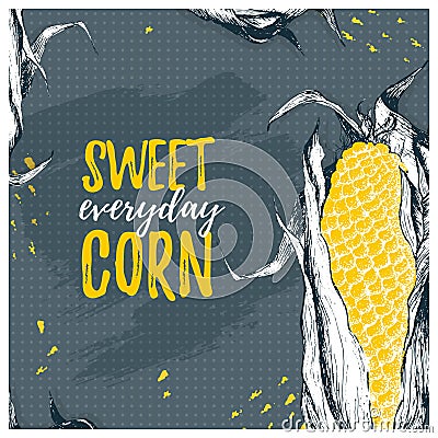 Vector template card with corn. Sweet corn Vector Illustration
