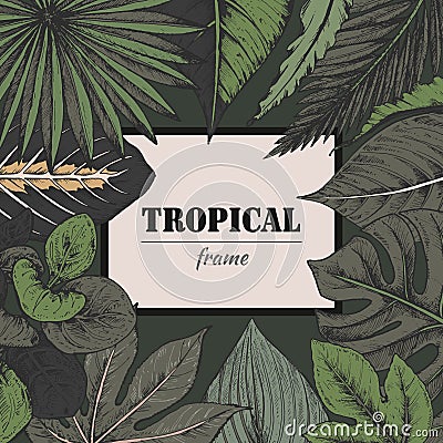 Vector template with frame of hand drawn tropical plants. Vector Illustration