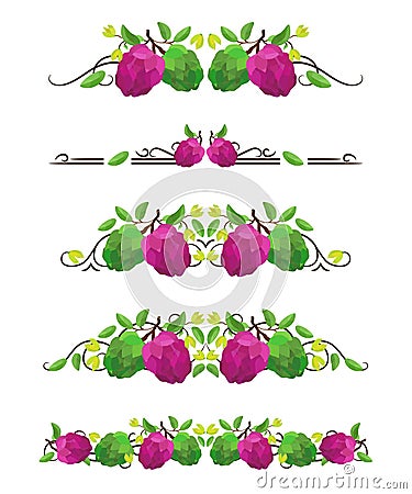 Vector text dividers with sugar-apple and flower Vector Illustration