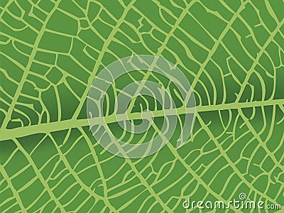 Vector texture of leaf Vector Illustration
