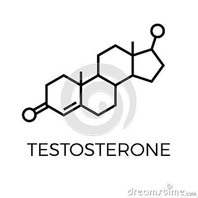 Vector thin line icon of testosterone molecular structure. Chemical formula Vector Illustration