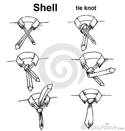 Vector tie and knot instruction Vector Illustration