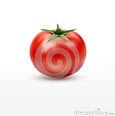 Vector tomato isolated on white background Vector Illustration