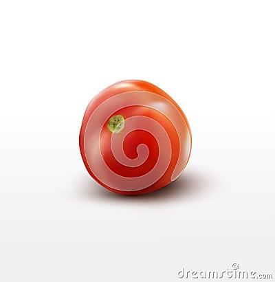 Vector tomato isolated on white background Vector Illustration