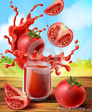 Vector tomato juice in glass, vegetable with splashes Vector Illustration