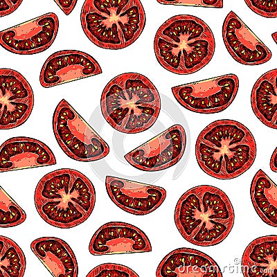 Vector tomato seamless pattern drawing. Isolated tomatoes and sliced pieces. Vegetable Vector Illustration