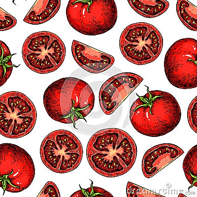 Vector tomato seamless pattern drawing. tomatoes and sliced pieces. Vegetable Vector Illustration