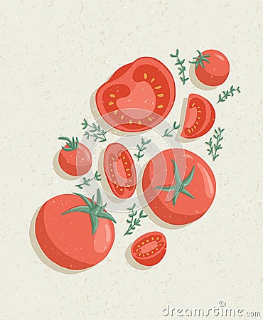 Vector tomatoes cartoon illustration with textures. Healthy organic tomato slices and rosemary. Vector Illustration