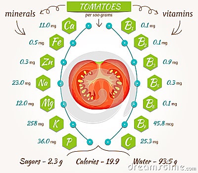 Vector tomatoes infographics. Vector Illustration