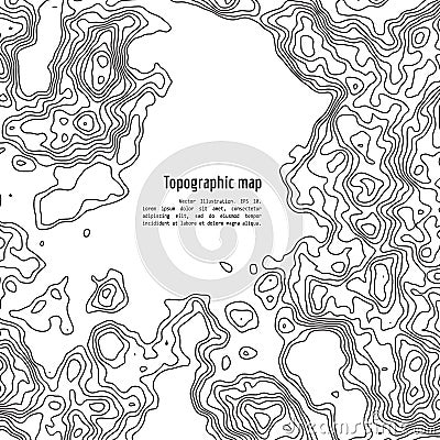 Vector topography map Vector Illustration