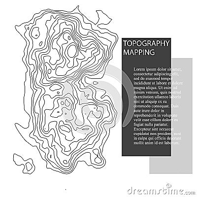 Vector topography map Vector Illustration