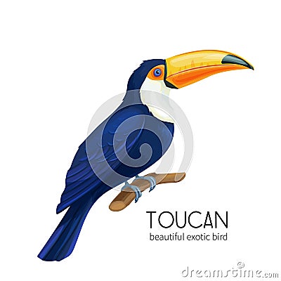 Vector toucan bird Vector Illustration