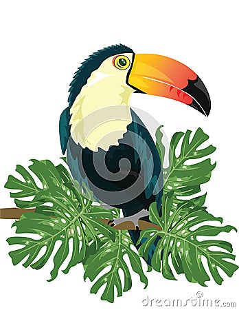 Vector Toucan sitting on tree branch Vector Illustration