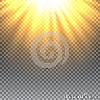 Vector transparent sunlight special lens flare light effect. Vector Illustration