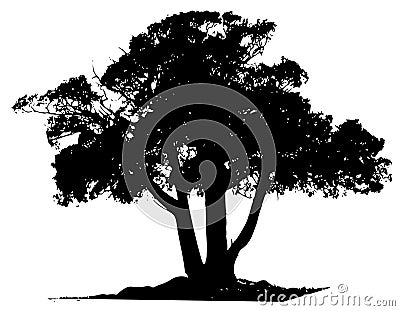 Vector Tree Black Outline Cartoon Illustration