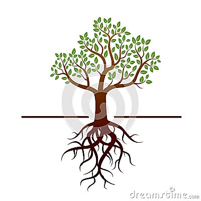 Vector tree and green leafs and roots Stock Photo