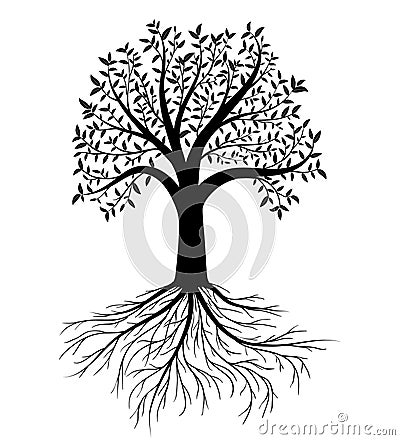 Vector tree with leaves and roots Vector Illustration