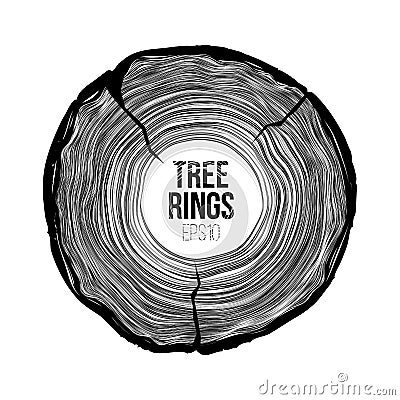 Vector tree rings slice with crack. Annual life texture. Woodgrain pattern Vector Illustration