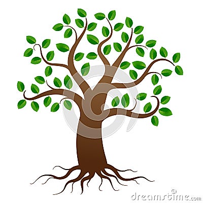 Vector tree with roots Vector Illustration