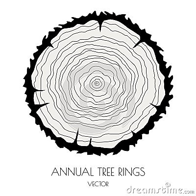 Vector tree trunk rings. Vector Illustration