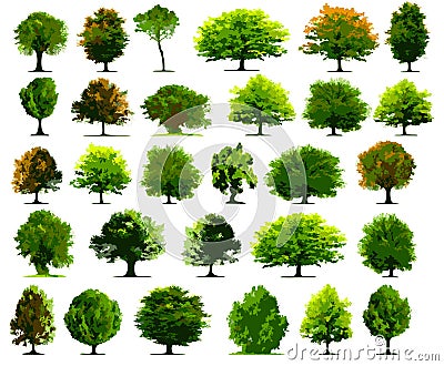 Vector trees Vector Illustration