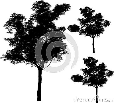 Vector trees Vector Illustration