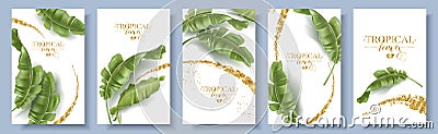 Vector banners set of banana tropic leaf Vector Illustration