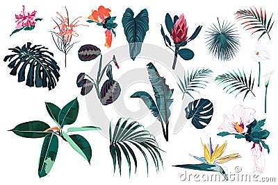 Vector tropical bright blue plants, jungle leaves and flowers set Stock Photo