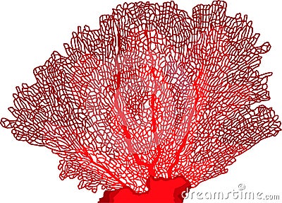 Vector tropical coral isolated on white Vector Illustration