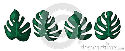 Vector tropical leaves set. Mostera green leafs isolated on white background. Vector Illustration