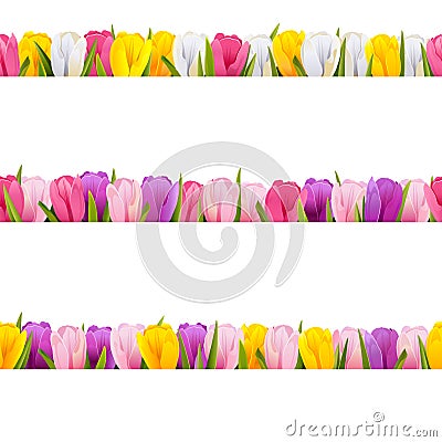 Vector Tulips Borders Vector Illustration