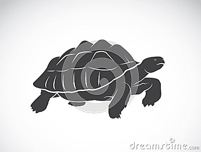 Vector of a turtle on white background. Reptile. Vector Illustration