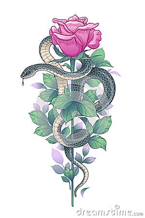 Vector Twisted Snake and Pink Rose on High Stem Vector Illustration