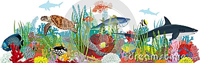Vector underwater coral reef illustration with fishes and shark Vector Illustration