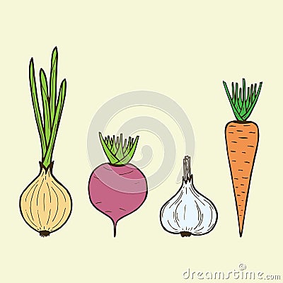 Vector vegan vegetables - onion, carrot, beet, garlic. Vect Vector Illustration