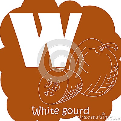 Vector vegetable alphabet for education. Illustration for kids. Letter W for White gourd Vector Illustration