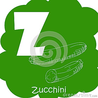 Vector vegetable alphabet for education. Illustration for kids. Letter Z for Zucchini Vector Illustration