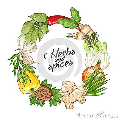 Vector vegetable circle template with spices Vector Illustration