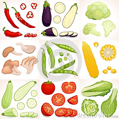 Vector vegetable set. Vector Illustration
