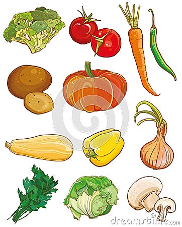 Vector vegetables set. Food ingredients Vector Illustration