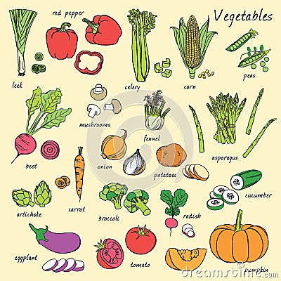 Vector vegetables set. Stock Photo